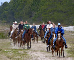 Horseback riders loping in the Florida Scrub Horseback riders loping in the Florida Scrub